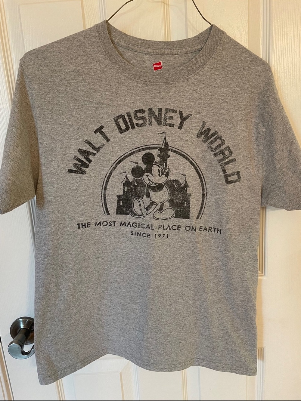 Hanes Gray Walt Disney World Mickey Graphic Tee